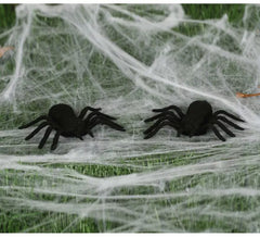 Conjunto de 2 aranhas 10 cm