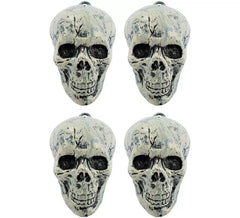 Conjunto de 4 caveiras