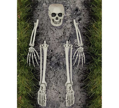 Conjunto de ossos de esqueleto 5 peças