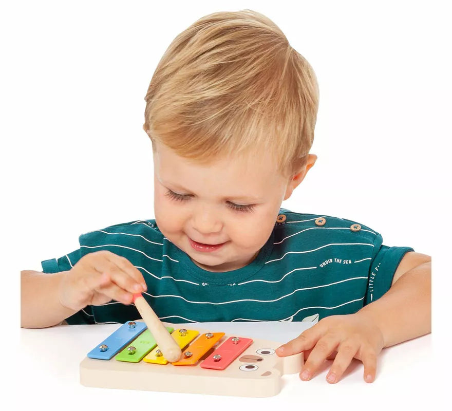 Translation missing: pt-PT.Set Instrumentos Musicales infantil